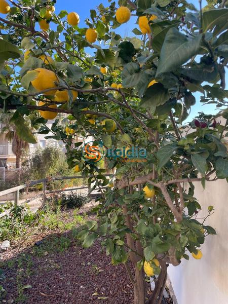 Foto 35c782c9-93ef-48b3-a55d-8b56b2f67c2f. Rent ground floor with parking pool in Los Collados-Los Geraneos Águilas