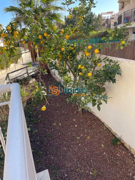 Foto 8d022a00-6e50-4b7f-b487-d96059a1eac9. Rent ground floor with parking pool in Los Collados-Los Geraneos Águilas