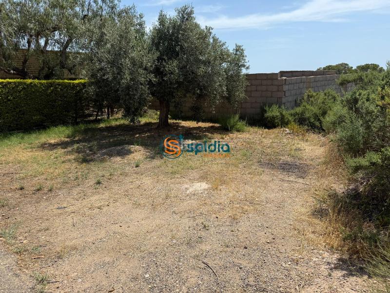 Foto 5645651a-955f-4c4f-995d-3da00d058a39. Masia amb aparcament a San Juan de los Terreros