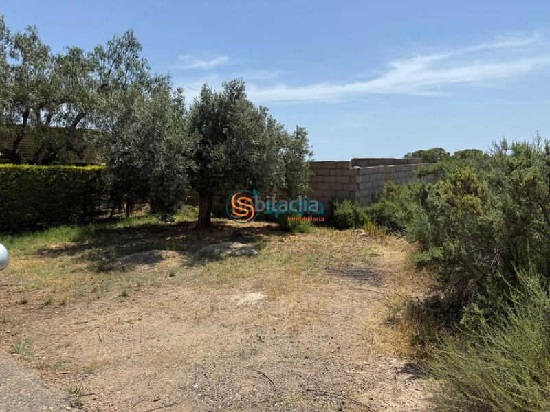 Foto 96adcde2-9984-4cd9-bbc4-dbfe651a8a5f. Masia amb aparcament a San Juan de los Terreros