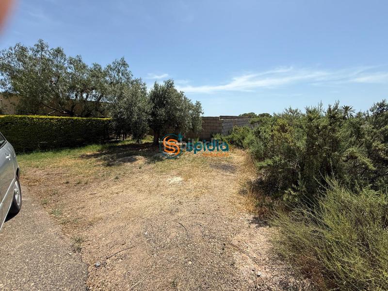 Foto b906aab8-dbe5-49de-8bc9-7919929fd672. Masia amb aparcament a San Juan de los Terreros