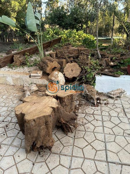 Foto 7f49d9be-bf53-408a-b757-9e9c302f77f0. Masia amb aparcament piscina a Escucha Lorca