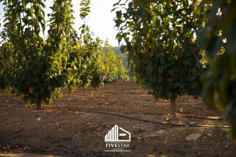 Foto a9592b18-c069-4b2f-bd0f-616d5766a94f. Landgut in Montroy