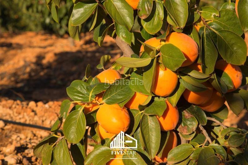 Foto db225fec-f131-4b43-a827-a8187bb99fe7. Landgut in Montroy