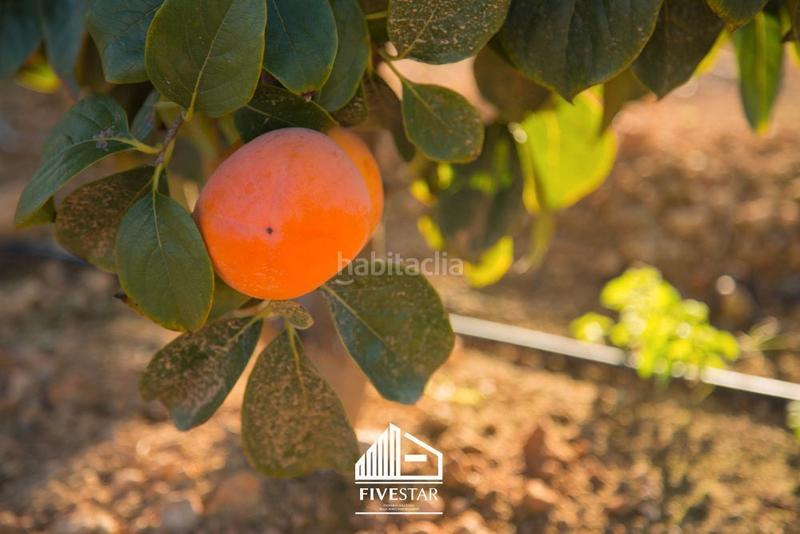 Foto e0fc5530-19c5-40b2-b626-3feae37362db. Landgut in Montroy