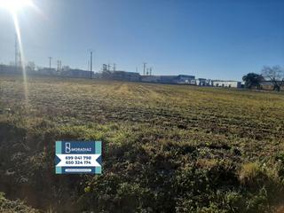 Finca rústica a Don Benito. Se vende parcela al lado de don benito