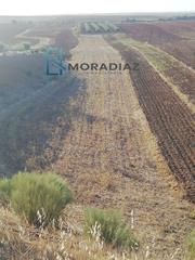 Finca rústica a Magacela. Terreno en venta magacela