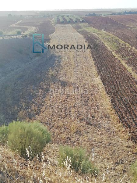 Foto 6a1cb6ad-41e4-486f-855a-3dc1f85dda2d. Finca rústica terreno en venta en Magacela