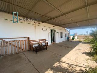 Xalet a Diseminado tordo 170. Se vende chalet en don benito