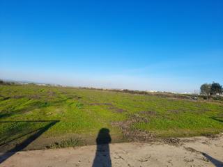 Finca rústica a Mengabril. Oferta terreno en venta mengabril