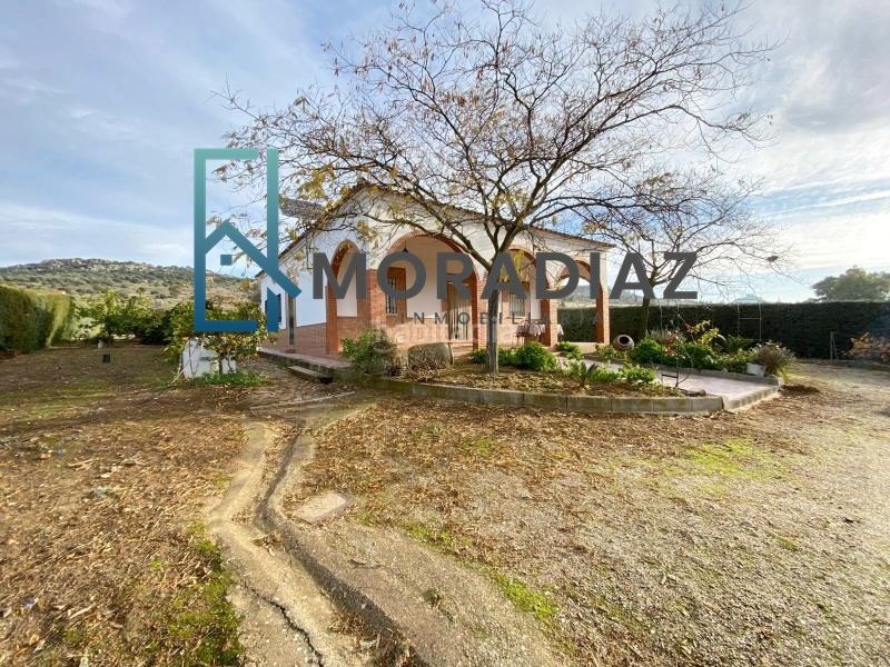 Foto 53782e90-1141-4abc-95ef-956d1dfe8cb2. Xalet amb aparcament piscina a Haba (La)