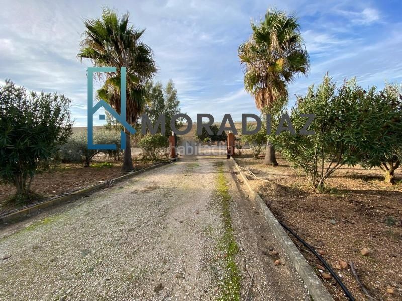 Foto 5b988921-d973-4ce7-9392-630603888b8c. Xalet amb aparcament piscina a Haba (La)