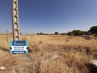 Finca rústica a Don Benito. Oferta terreno en venta don benito