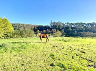 Terreny residencial a Capela (A). Solar urbano en nucleo rural en expansion