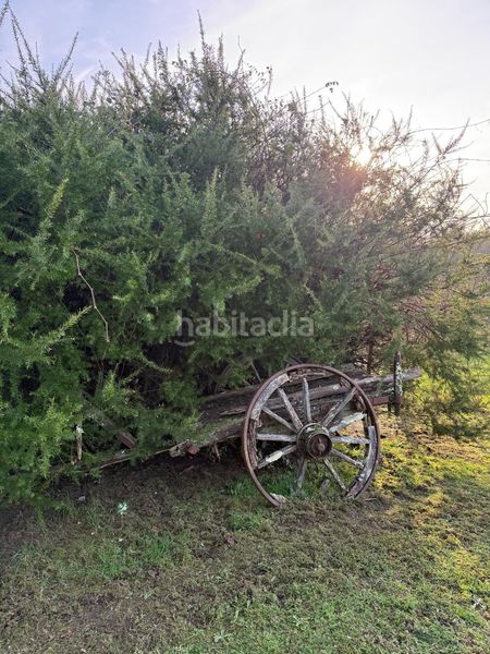 Foto 7e1d7031-6387-4ae6-8e94-679b640e35e1. Masia amb calefacció a Monfero