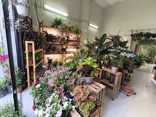 Transfer Business premise in Vila de Gràcia. Traspaso floristería en vila de gràcia, barcelona