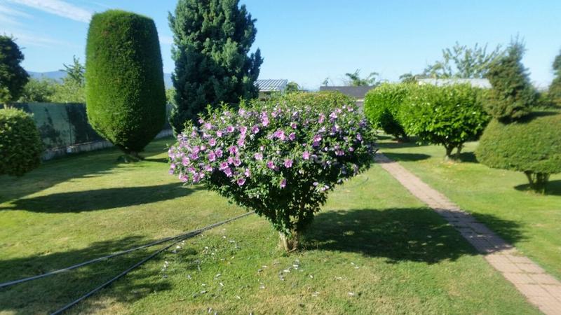 Foto 44870231-0c9f-451d-a857-c45637c8a44f. Casale con riscaldamento parcheggio piscina in Cabañas Raras
