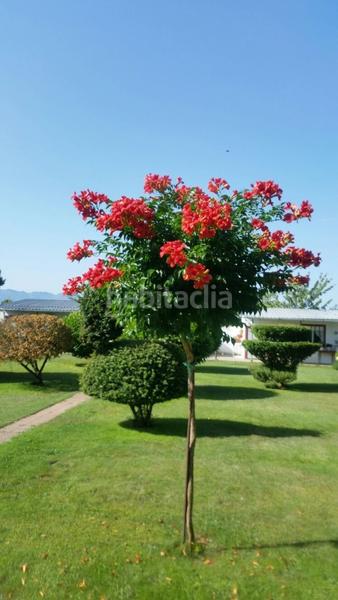 Foto 8f97f44a-b5a9-4d62-8d3d-69ef70e4ffc1. Casale con riscaldamento parcheggio piscina in Cabañas Raras