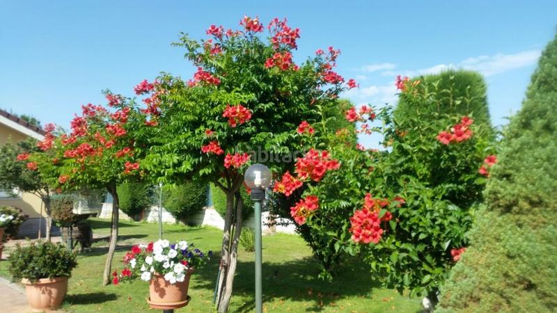 Foto ab172483-53b3-4684-b684-65a0a3ead175. Casale con riscaldamento parcheggio piscina in Cabañas Raras
