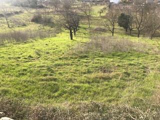 Mas à Área Rural Sur. Se vende finca rustica en toral de merayo.