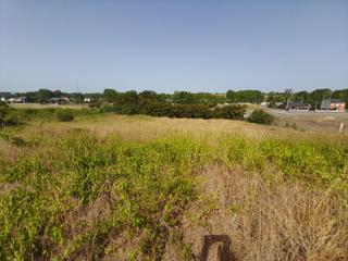 Residential Plot in Flores de Sil - La Placa. Fincas urbanas en san andres de montejos