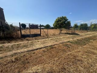 Rural plot in Zona Alta. Se vende finca rustica en columbrianos  fuentesnuevas con caseta
