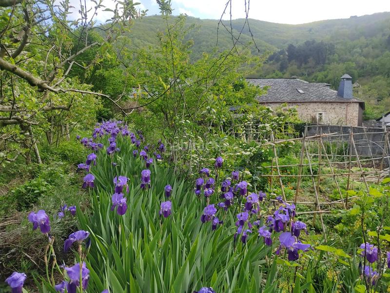 Foto 51a7097c-1ca7-473d-b93b-58e932088c60. Chalet in Área Rural Sur Ponferrada