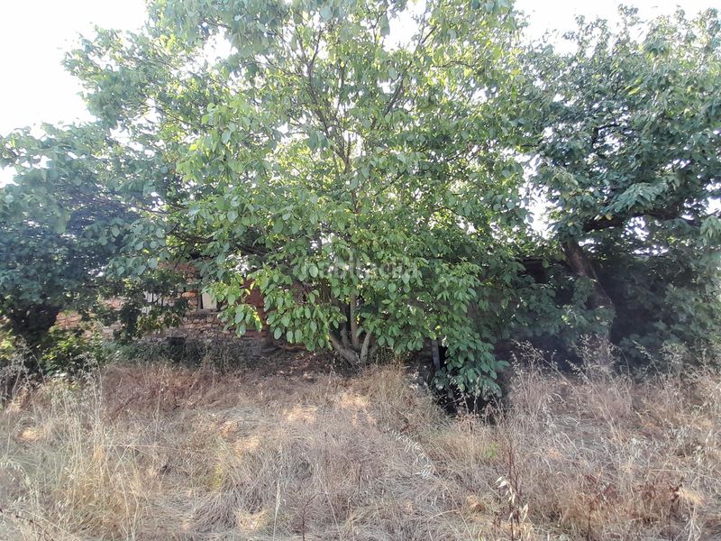 Foto 503d4d3d-b868-4825-8f13-3303ab06383e. Masia amb terrassa a Congosto