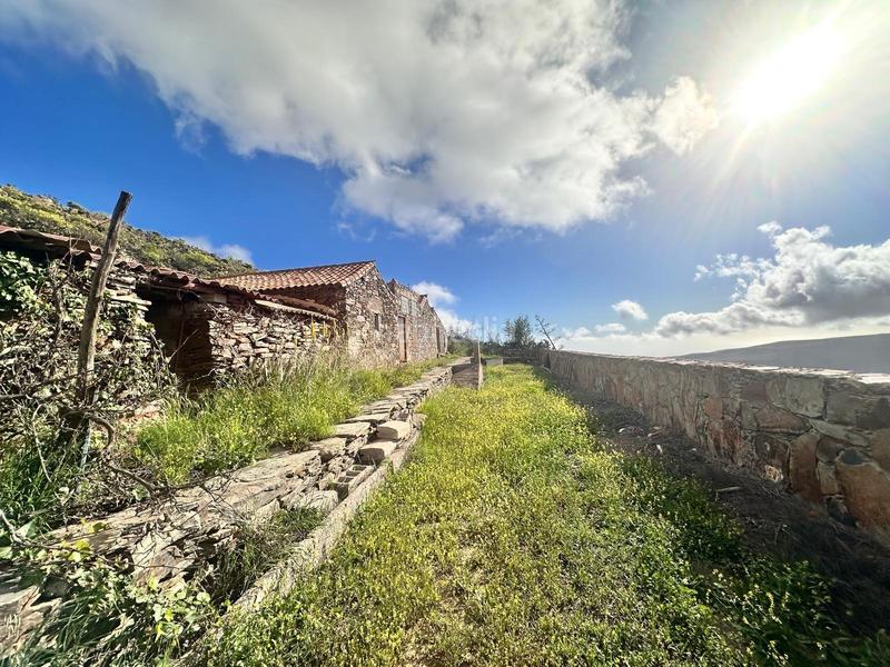 Foto 633f0c15-3e24-4bc2-b6a5-f065b36c11c1. Masía casa en lomo de pedro afonso en San Bartolomé Interior San Bartolomé de Tirajana