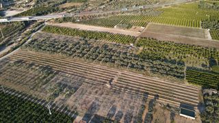 Finca rústica a Polígono del polígono 38. Magnífica finca de olivos con pozo