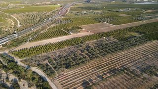 Finca rústica a Polígono del polígono 38. Magnífica finca de olivos con pozo