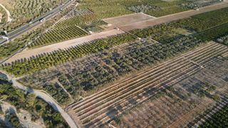 Rural plot in Polígono del polígono 38. Magnífica finca de olivos con pozo