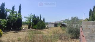Finca rústica  Polígono polígono 72 paraje 33 la foia. Finca rústica vallada en la foia ulldecona  tranquilidad y natur