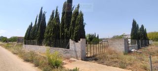 Landgut  Polígono polígono 72 paraje 33 la foia. Finca rústica vallada en la foia ulldecona  tranquilidad y natur