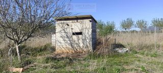 Propriété  Polígono polígono 72 paraje 33 la foia. Finca rústica vallada en la foia ulldecona  tranquilidad y natur