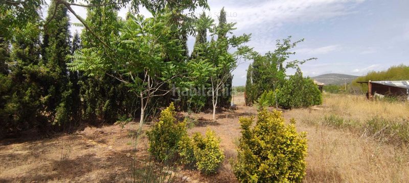 Foto 26ff2442-b39e-4da0-85bb-bf7ada8c8971. Finca rústica a Ulldecona