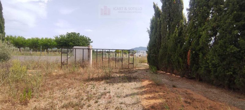 Foto 67df2719-5376-4e24-8f58-0e24dc2fe045. Finca rústica a Ulldecona