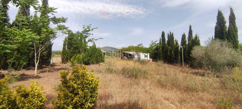 Foto e5df93f3-1645-4887-b4df-940fbbde17a7. Finca rústica a Ulldecona
