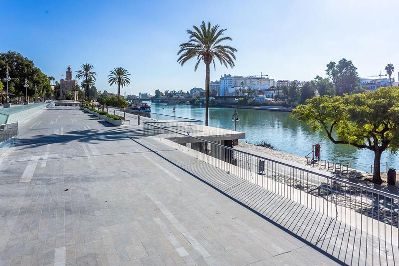 Foto 19c624dd-07ce-4311-a49d-4479db2871db. Etagenwohnung in Alfalfa - Santa Cruz Sevilla