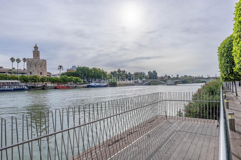 Foto c19eb4f3-206a-4ab2-911c-89d678dbfa45. Etagenwohnung in Alfalfa - Santa Cruz Sevilla