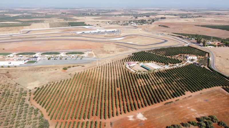 Foto 1e02ba4d-ef2d-4a06-beb4-2bba44995bac. Casale con riscaldamento parcheggio in Carmona