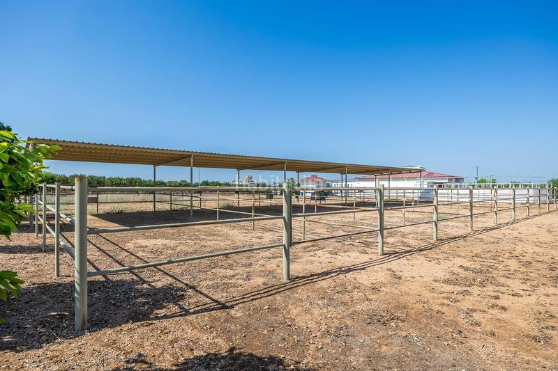 Foto 51564c5b-a99a-4383-aa56-56cc79e07e3e. Casale con riscaldamento parcheggio in Carmona