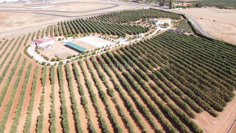 Foto 53238d09-7ae7-4cc8-b0b4-e4ed0a9c45bc. Casale con riscaldamento parcheggio in Carmona