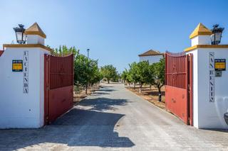 Bauernhof  Carretera diseminados 2. Finca en carmona naturaleza, confort y cercanía a sevilla