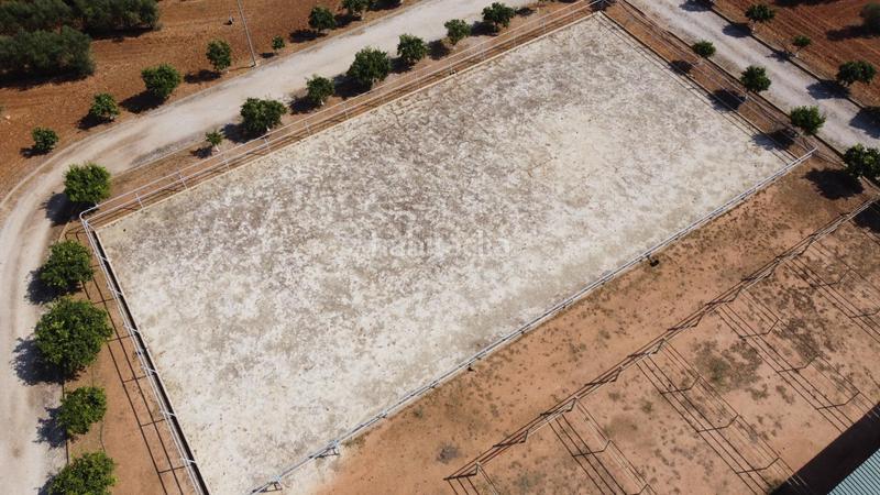 Foto 959eec54-bf66-4b07-a2f4-b42b8e121826. Casale con riscaldamento parcheggio in Carmona