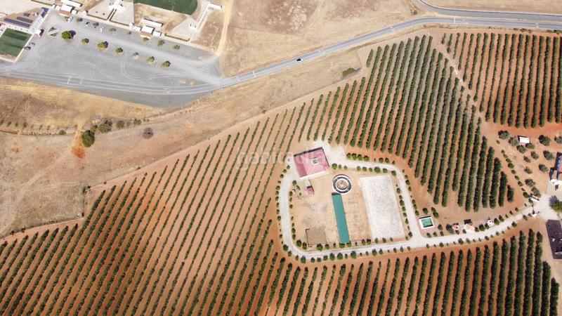 Foto 9ed5b62a-7f79-4767-9576-c2a5909642f7. Casale con riscaldamento parcheggio in Carmona