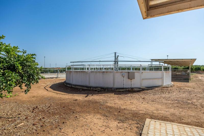 Foto d0c85c10-c2fc-4f50-ae16-543359439d80. Casale con riscaldamento parcheggio in Carmona