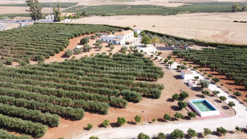 Foto c626ae3a-4b66-4464-99a8-5bd4a6103b58. Masia amb aparcament a Carmona