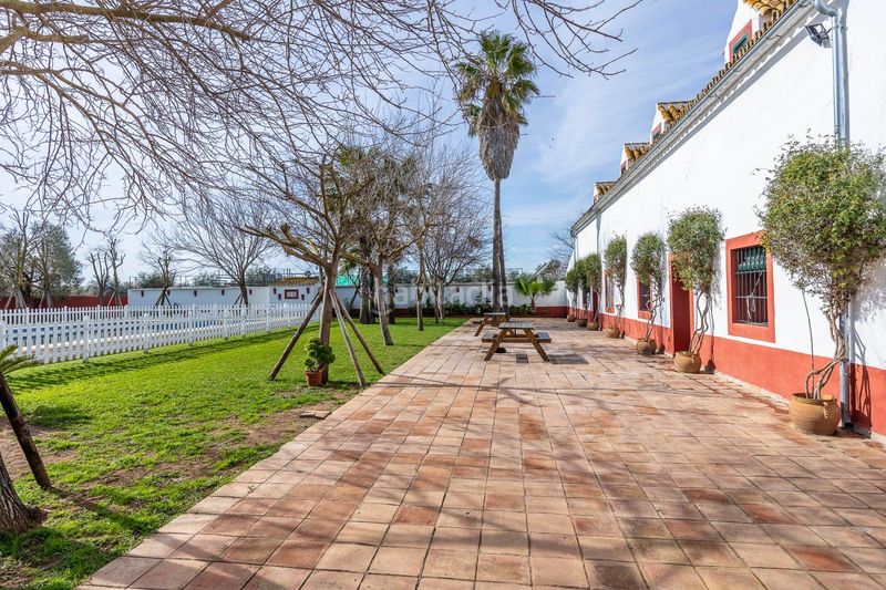 Foto 644b5a71-7b19-4eb0-9339-0ae364024671. Masia amb aparcament piscina a Carmona