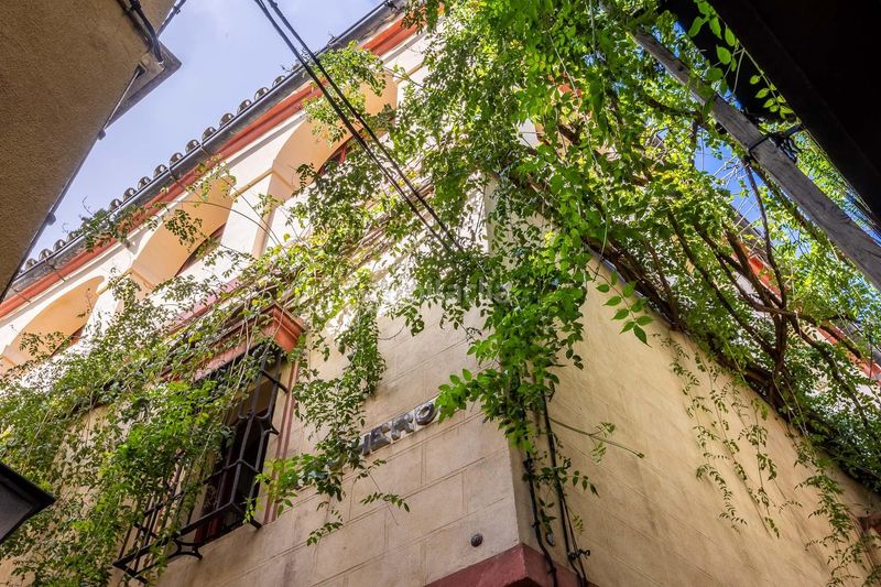 Foto b1b92ea3-3692-41b1-9cd9-661e9c1bb32c. Casa amb calefacció a San Bartolomé Sevilla